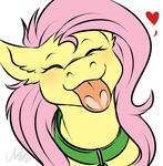  &lt;3 cartoonlion collar equine eyes_closed female feral fluttershy_(mlp) friendship_is_magic fur hair horse mammal my_little_pony pink_hair plain_background pony solo tongue tumblr white_background yellow_fur 