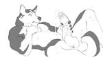  balls black_fur canine cum cumshot dog humanoid_penis lying malamute male masturbation on_back orgasm penis solo spread_legs spreading white_fur 