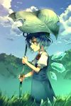  blue_eyes blue_hair cirno cloud day grass leaf_umbrella profile ribbon short_hair sky solo standing sunakumo touhou wet wings 