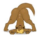  after_sex anus ass_up breasts brown_fur canine cum cum_in_pussy cum_inside dog eyes_closed female fur mammal nude paperclip paperclip_(artist) pussy solo tongue tongue_out upside_down 