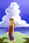  1boy black_hair blue_sky cloud clouds grass hand_in_pocket hat male male_focus monkey_d_luffy nature ocean one_piece outdoors red_vest scar scenery shorts sky smile solo standing straw_hat vest water wind yamaguchi_mococo 