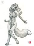 4_toes bottomless breasts canine claws clothed clothing digitigrade female fox greyscale hair half-dressed hindpaw kacey mammal monochrome open_mouth paws plain_background pussy shirt silver_fox sketch skimpy solo standing toes under_boob white_background 