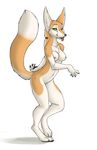  anthro breasts brown_fur canine claws digitigrade female fennec fox fur green_eyes hindpaw insane long_tail looking_at_viewer mammal navel nipples nnecgrau nude one_eye_closed paws plain_background solo toes tongue white_background 