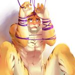  anthro bdsm beast biceps blush bondage bound feline fur hair jaws looking_at_viewer male mammal nude solo string tears tiger tkfkd5362 undertaker 