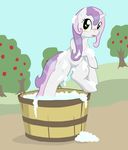  blush bucket cub equine female feral friendship_is_magic green_eyes hair horn horse looking_at_viewer mammal my_little_pony outside pony purple_hair pussy seidouryu soap solo sweetie_belle_(mlp) tree two_tone_hair unicorn wet young 