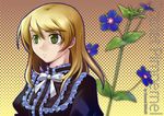  female flower green_eyes looking_at_viewer mabinogi nezumipl solo spotted 