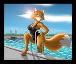  canine female fox foxy_roxy green_eyes mammal pool solo swimsuit water 