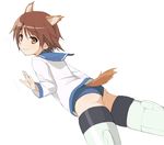  animal_ears brown_eyes brown_hair cat_ears miyafuji_yoshika non-web_source solo strike_witches striker_unit swimsuit tail world_witches_series 