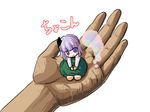  bad_id bad_pixiv_id dress hakika hands hitodama in_palm kneeling konpaku_youmu konpaku_youmu_(ghost) minigirl out_of_frame pov pov_hands pun purple_eyes purple_hair short_hair solo_focus touhou translated 