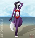  beach bikini canine clothed clothing female fox mammal raphial sand sea seaside skimpy swimsuit water 