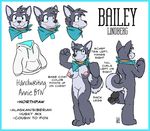  bandanna blue_eyes breasts canine collar dog edit english_text female fur grey_fur hoodie housepets! mammal model_sheet nipples nude pussy rick_griffin solo standing text 