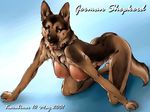  anthro areola breasts brown_fur canine collar dog female fur german_shepherd hanging_breasts karabiner kneeling looking_at_viewer mammal multi_breast nipples nude presenting solo teats 