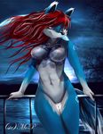  bottomless breasts canine clothed clothing female fox fur hair half-dressed long_hair looking_at_viewer mammal night nipples nude outside pussy red_hair sheer_clothing sicmop skimpy sky solo standing translucent water 