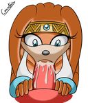  canastus cum cumshot duo echidna fellatio female knuckles_the_echidna male oral oral_sex orgasm penis plain_background sega sex sonic_(series) straight sucking tiara tikal_the_echidna transparent_background 