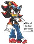  belt black black_fur black_nose bling chest_tuft clothing ear_piercing english_text eyewear fur gangster gloves hedgehog jeans looking_at_viewer male mammal microphone necklace open_mouth pants piercing plain_background rapper red_eyes sega shadow_the_hedgehog shoes solo sonic_(series) sunglasses teeth text topless tuft video_games white_background 