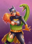  barbara_gordon batgirl batman_(series) dc geckup 