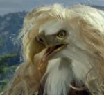  avian bald_eagle beak eagle hair outside solo wig 