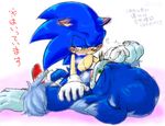 anthro blue_hair blush gay green_eyes hair hedgehog japanese japanese_text male penetration sega sex sonic_(series) sonic_the_hedgehog sonic_the_werehog sonic_unleashed text translation_request werehog 