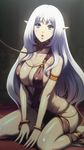  1girl annelotte breasts eiwa large_breasts long_hair pointy_ears queen&#039;s_blade queen&#039;s_blade_rebellion queen's_blade queen's_blade_rebellion queen's_blade_vanquished_queens sitting white_hair 
