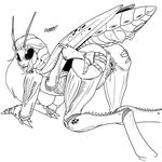  anthro anus arthropod back_turned breasts butt butt_grab doomington female grasshopper insect insectoid looking_at_viewer looking_back masturbation multi_breast multi_limb multilimb plain_background presenting presenting_hindquarters pussy pussy_juice sam samantha_simpson solo totally_spies white_background wings 