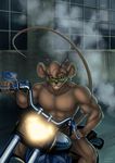  bike biker_mice_from_mars invalid_tag mouse rodent throttle 