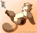  arumadi_rou chubby green_eyes hair_tuft japanese_text looking_up lying male open_mouth simple_background smile solo spread_legs spreading tanuki text 