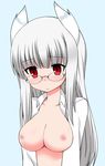  animal_ears blush breasts collarbone dress_shirt glasses heidimarie_w_schnaufer izuko looking_down medium_breasts nipples nude open_clothes open_shirt red_eyes shirt solo strike_witches upper_body white_hair world_witches_series 