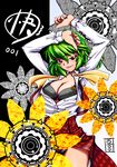  arms_up ascot black_bra black_panties bra breasts cleavage dress_shirt green_hair kazami_yuuka large_breasts lingerie mokei open_clothes open_shirt open_skirt panties plaid plaid_skirt plaid_vest red_eyes shirt short_hair skirt skirt_set smirk solo touhou underwear untied vest 