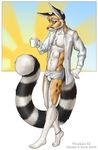  anthro cacomistle chester_ringtail_magreer clothing coffee front male mammal morning open_shirt pinup pose poster ringed_tail shirt solo standing terrie_smith underwear wookiee_(artist) 