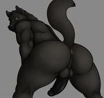  anus balls bent_over biceps big big_balls big_butt big_muscles big_penis black_fur black_nose black_penis butt canine erection fur kneeling looking_at_viewer looking_back male mammal muscles nude penis pose presenting presenting_hindquarters raised_tail solo thick_penis vamplust vein wolf yellow_eyes 
