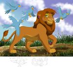  avian bird blue_eyes disney feline feral lion male mammal the_lion_king tojo 