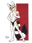  cacomistle chester_ringtail_magreer male pose terrie_smith thong 