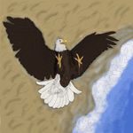  avian bald_eagle beach bird cloaca eagle feral invalid_tag male pinup pose ray sawyer seaside spread_eagle suggestive uppmap123 water wet 