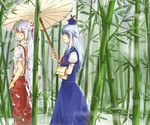  bamboo bamboo_forest blood forest fujiwara_no_mokou fuyuu_seibutsu injury kamishirasawa_keine looking_back multiple_girls nature oriental_umbrella rain touhou umbrella 