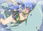  artist_request bestiality blue_eyes blue_hair blush breasts bubble bubbles clothed_sex coat cum cum_in_pussy cum_inside dolphin dolphins duel_monster eria female girl_on_top long_hair nipples no_bra no_panties open_mouth rape sex skirt tenzen_miyabi underwater vaginal yu-gi-oh! 