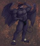  anthro asterionblazing avian biceps clothed clothing fur gryphon half-dressed hat looking_at_viewer male muscles nickles_(character) pecs pose solo speedo standing swimsuit thong topless underwear wings 