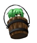  bucket green_hair hair_bobbles hair_ornament hiding kisume mochizuki_ado shy solo touhou twintails wooden_bucket 