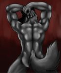  back canine dissimulated male mammal muscles nude pose solo wolf 
