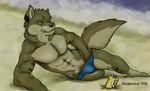  abs beach biceps canine dissimulated fur male mammal muscles pecs seaside solo speedo swimsuit underwear 