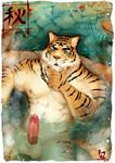  erection feline fur green_eyes male mammal nude orange_fur penis pockyrumz solo stripes tiger water 