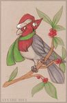  ambiguous_gender anyare avian bird cardinal christmas feral hat holidays red_crested_cardinal red_feathers santa_hat scarf solo 