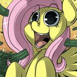  :d equine female feral fluttershy_(mlp) friendship_is_magic happy horse mammal money my_little_pony pegasus pony solo uc77 wings 
