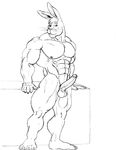  anthro balls biceps big_penis erection fur lagomorph looking_at_viewer male mammal muscles nipples nude pecs penis pose presenting rabbit sketch solo standing sudonym 