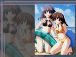  akiiro_renka bikini black_hair blue_eyes brown_hair day innertube kickboard kneeling kogure_fumika multiple_girls non-web_source red_eyes sandals short_hair swimsuit tsukimori_hiro ubukata_ranko wallpaper yuuki_makoto_(radiant) zoom_layer 