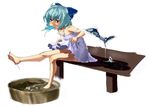  alternate_costume aqua_eyes aqua_hair bare_legs bare_shoulders barefoot bow bucket bucket_of_water cirno dress dress_lift feet food full_body hair_bow hot ice kirisato_itsuki legs melting mouth_hold oekaki outstretched_leg popsicle short_hair simple_background sitting soaking_feet soles solo strap_slip sundress sweat toes touhou water white_background wings 