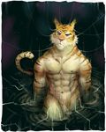  biceps black_fur feline flaccid front frown fur male mammal muscles navel night nipples nude orange_fur pecs penis pockyrumz pubes sad solo standing stripes tiger water wet white_fur 