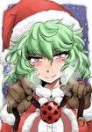  ball_gag commentary_request gag green_hair hat highres kazami_yuuka naui_kudan red_eyes santa_hat short_hair smile solo touhou 