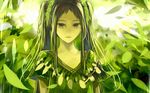 black_eyes black_hair expressionless green leaf long_hair looking_at_viewer original sakimori_(hououbds) sidelocks solo twintails 