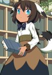  animal_ears blue_eyes book bow bowtie brown_hair dress ikura_hato library long_hair looking_at_viewer original petite plant ponytail potted_plant solo tail tan wavy_hair 