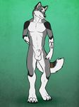  anthro balls biceps black_fur brown_fur canine canine_penis claws flaccid fur green_eyes grey_fur looking_at_viewer male mammal muscles nude pecs penis penis_tip plain_background pose sheath solo standing tattoo toe_claws tsaiwolf white_fur 